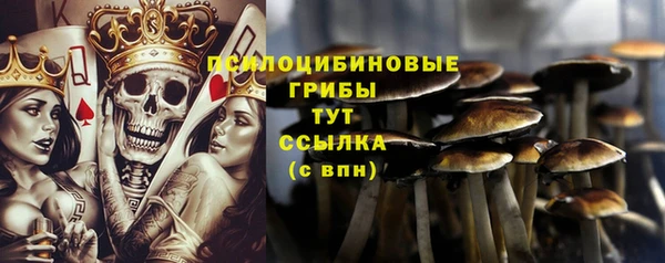 стаф Волосово