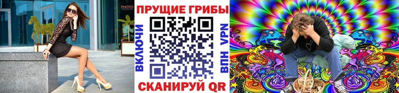 где найти наркотики  Осинники  Псилоцибиновые грибы прущие грибы 